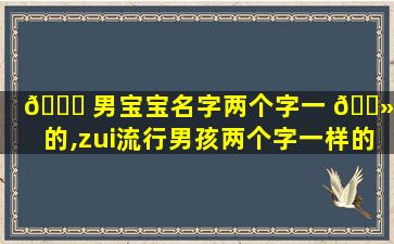 🍀 男宝宝名字两个字一 🌻 样的,zui
流行男孩两个字一样的名字有哪些